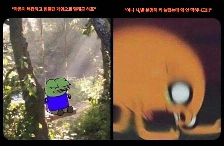 게임할때 이상과 현실_1.webp
