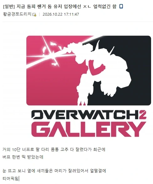 오버워치 부활해서 너무 강해진 둠피._2.webp