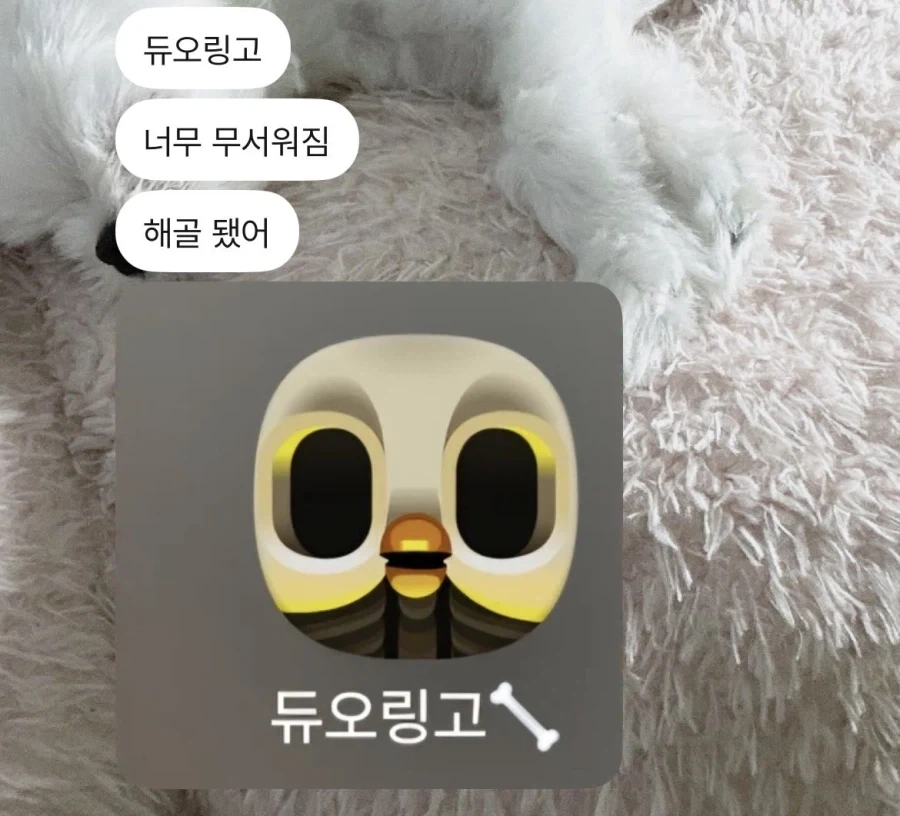 듀오링고를 방치하면 생기는 일_1.webp