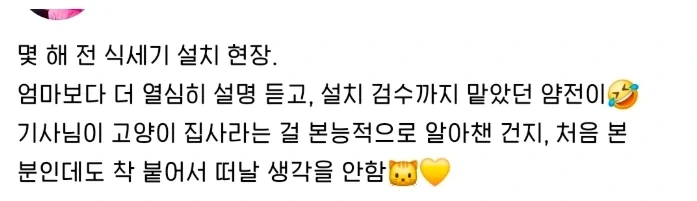식기세척기 설치 구경하는 고양이_1.webp