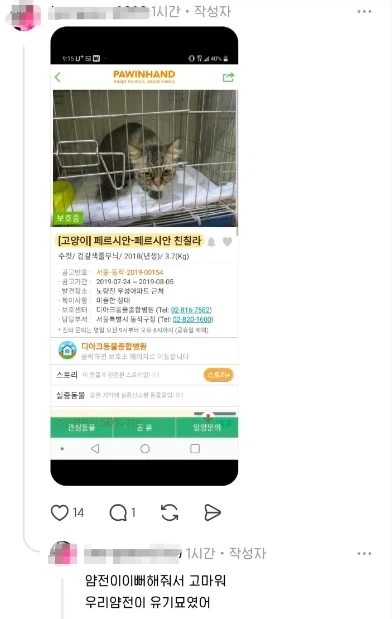 식기세척기 설치 구경하는 고양이_5.webp