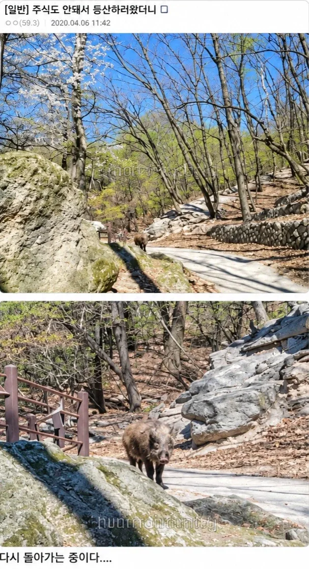 주식도 잘 안돼서 등산하러 왔더니...jpg_1.webp