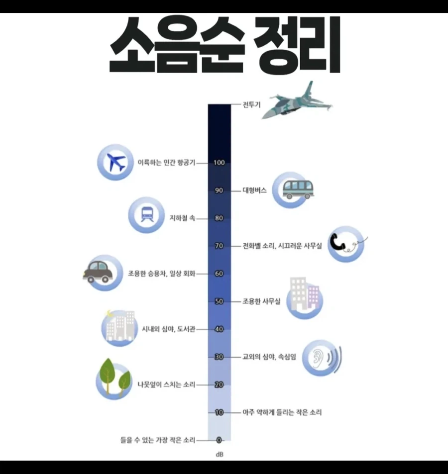 소음순 정리_2.webp