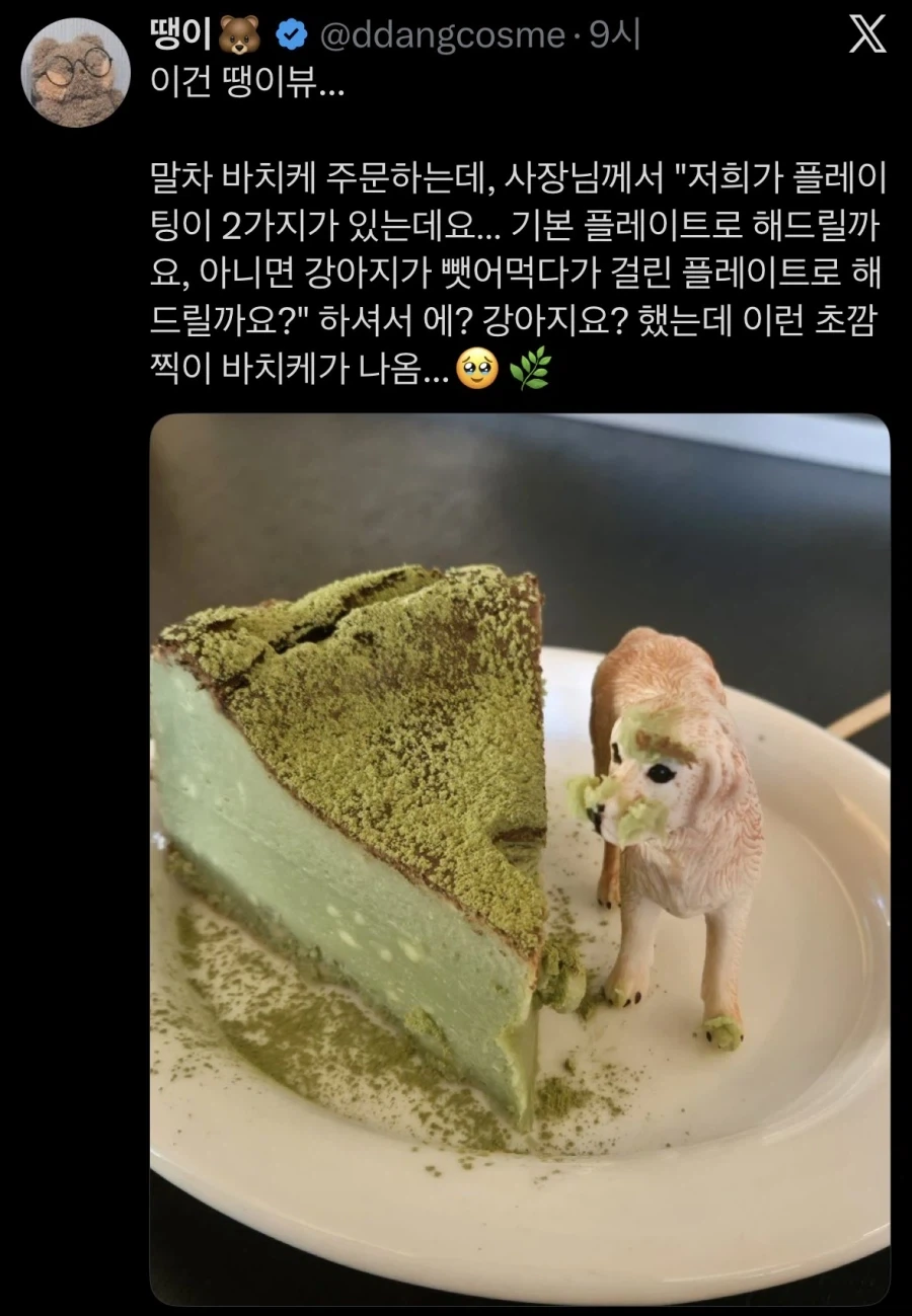 강아지가 뺏어먹다가 걸린 플레이팅_1.webp