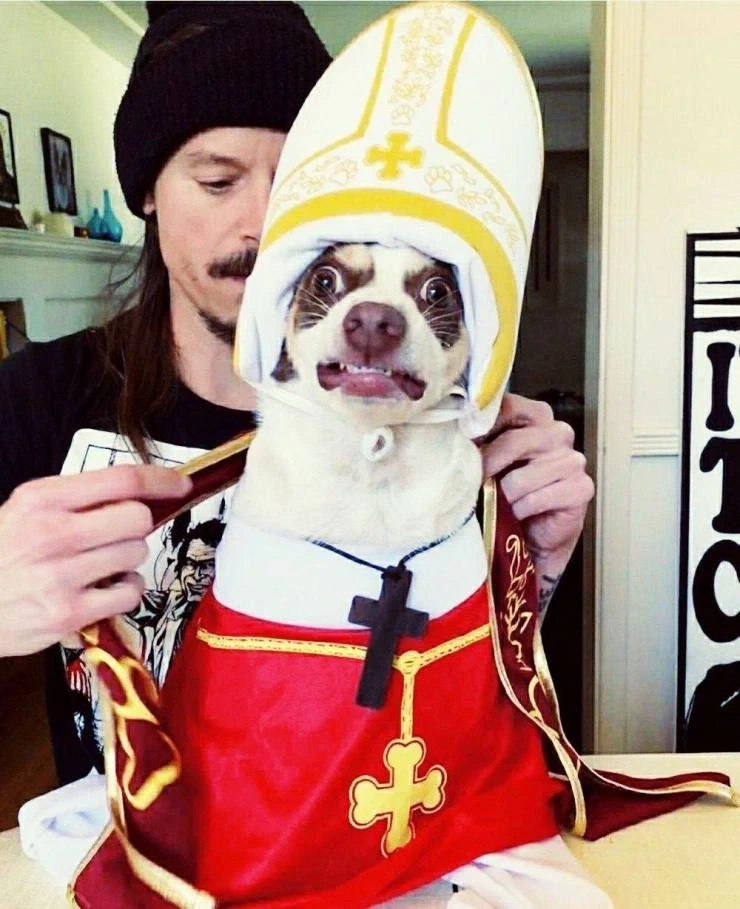 ???: 피고! 고양이! 판결은… 사형! 사형! 사형! 사형! 사형!_1.webp