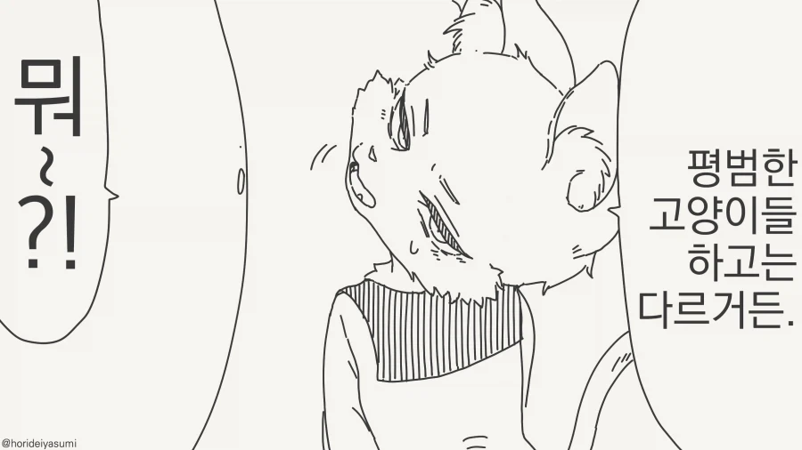 manga_77052208_17d5_002.webp
