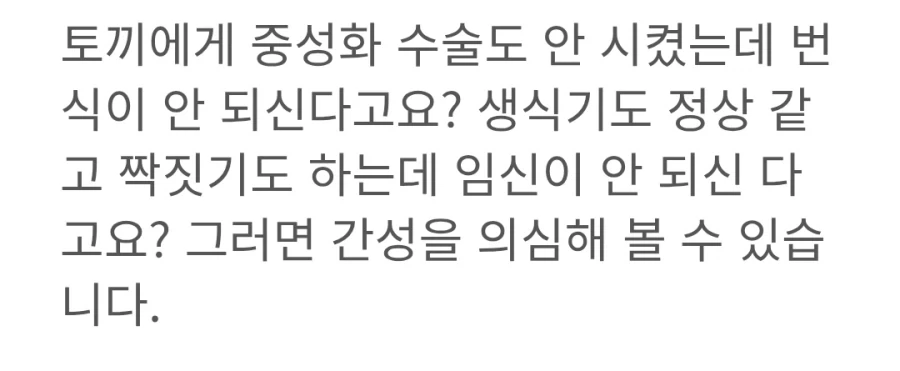 임신이 안되는 토끼_1.webp