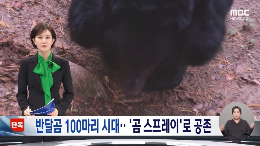 지리산에 반달곰 100마리나 있다고???_1.webp