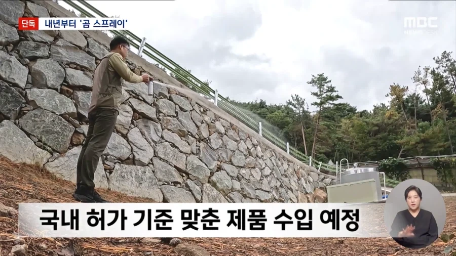 지리산에 반달곰 100마리나 있다고???_5.webp
