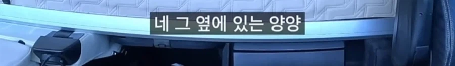 화물기사를 양양까지 오게 만드는 방법 ㄷㄷ_7.webp