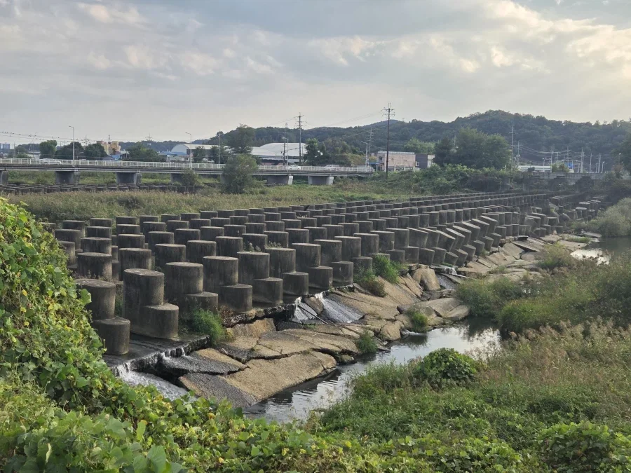 경기북부 하천가면 있는 이상한 구조물_1.webp