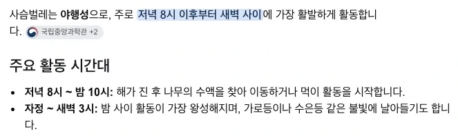 붉은사막) 현실성 진짜..._2.webp