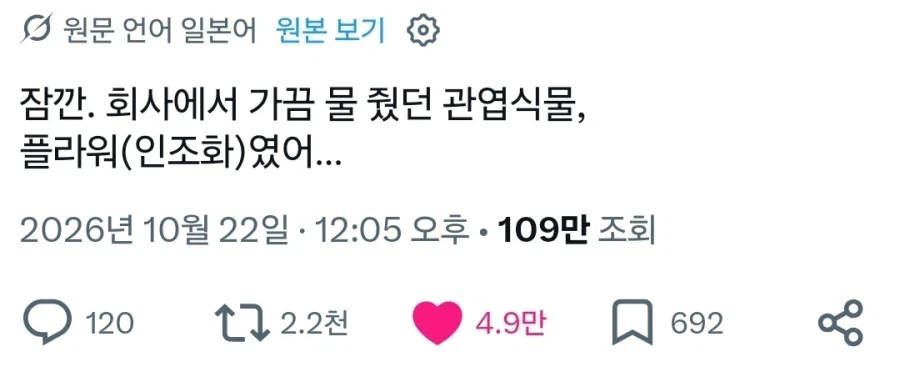 조화에도 생명은 있으니까요.x_1.webp