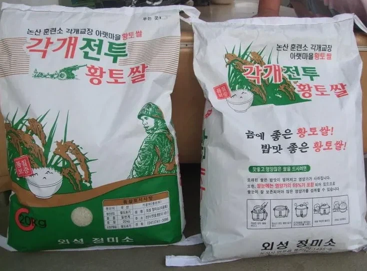 사펑엣지러너) 이 작품의 가장 큰 문제점_1.webp