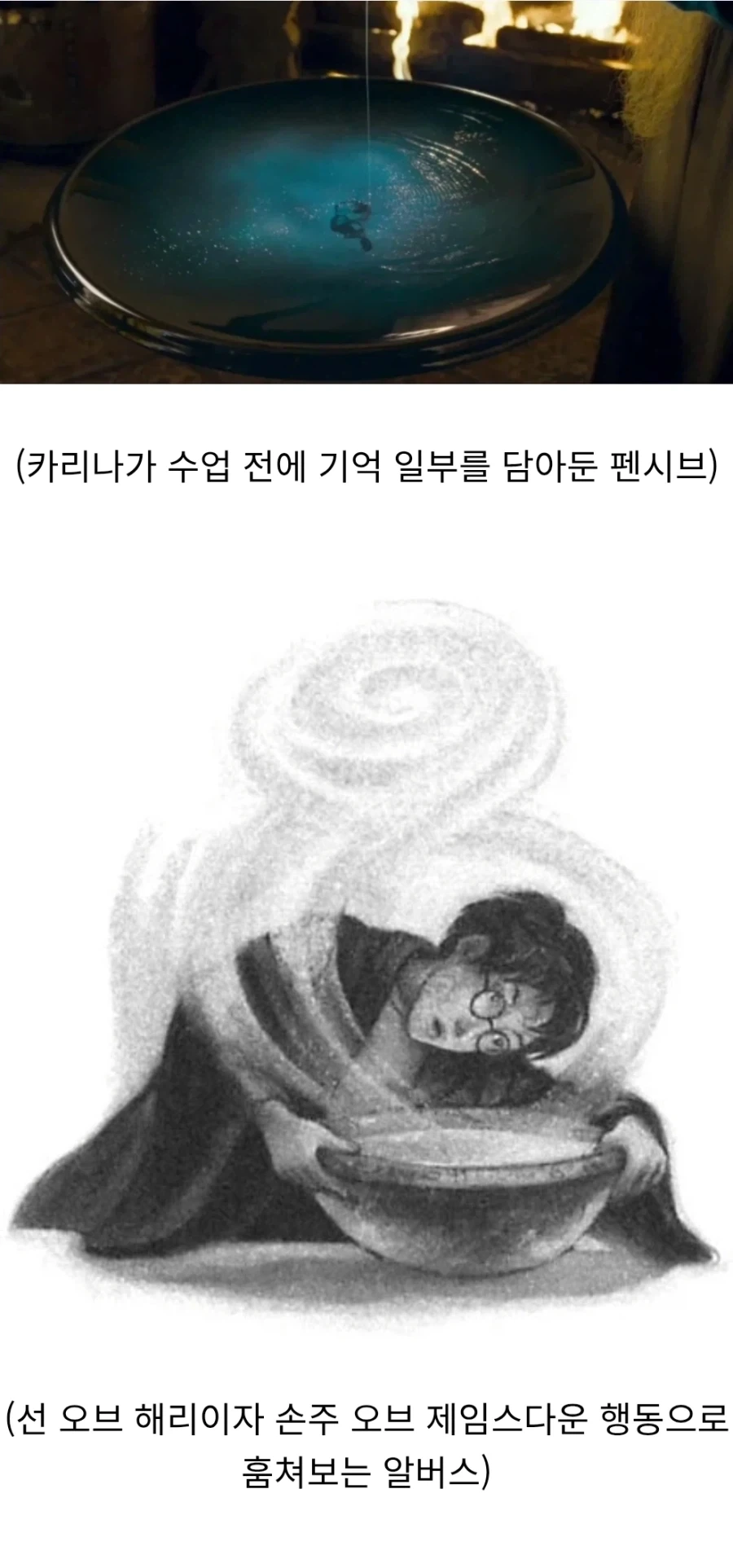 해리포터)