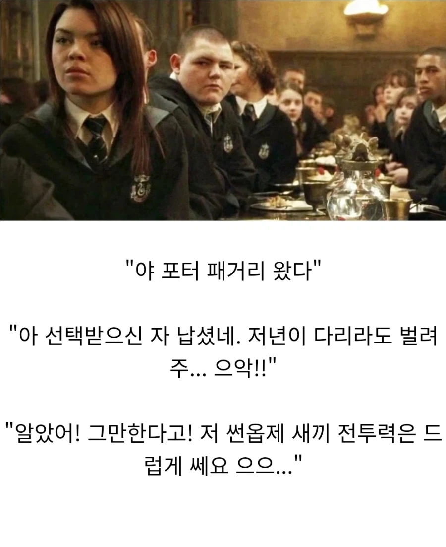 해리포터)