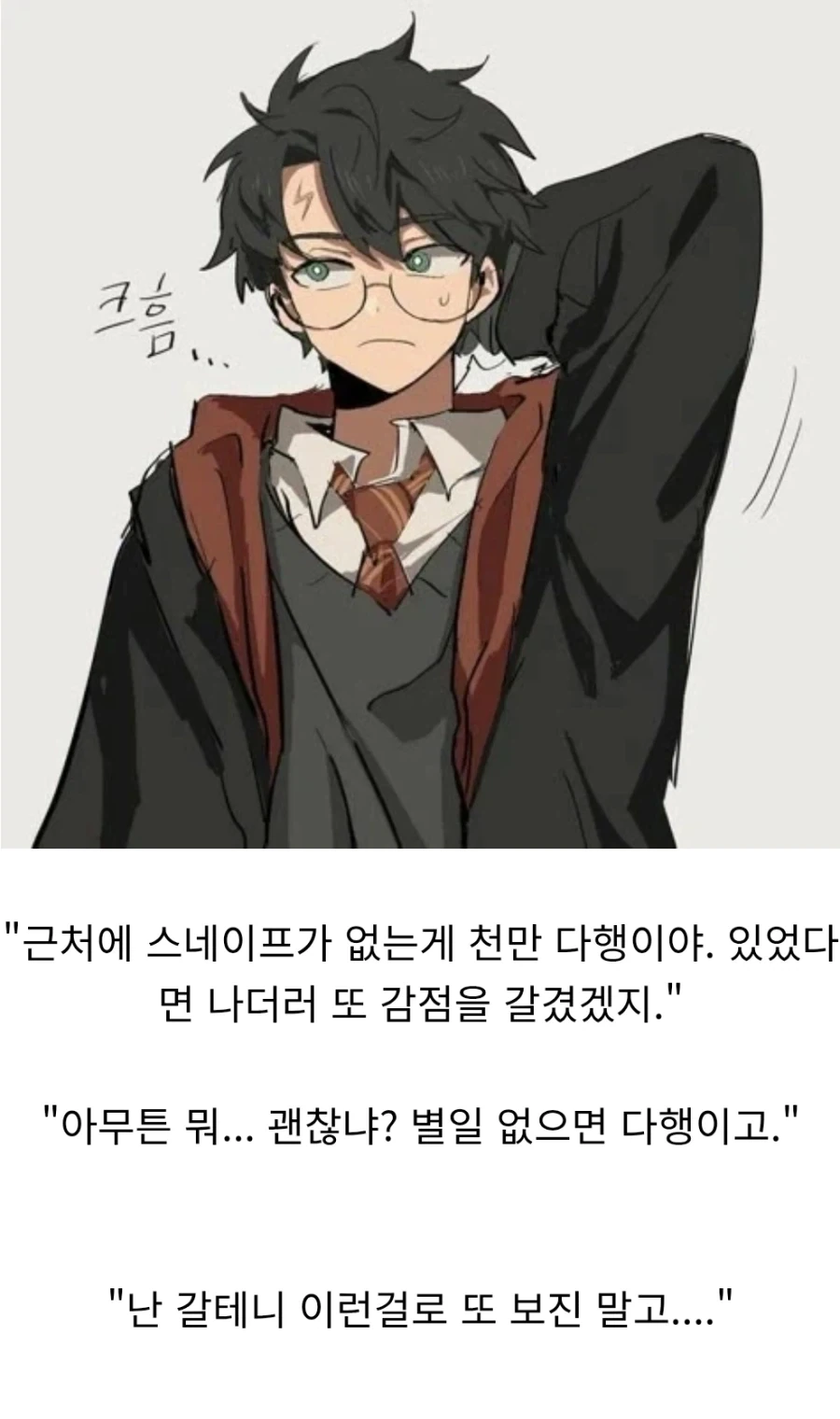 해리포터)
