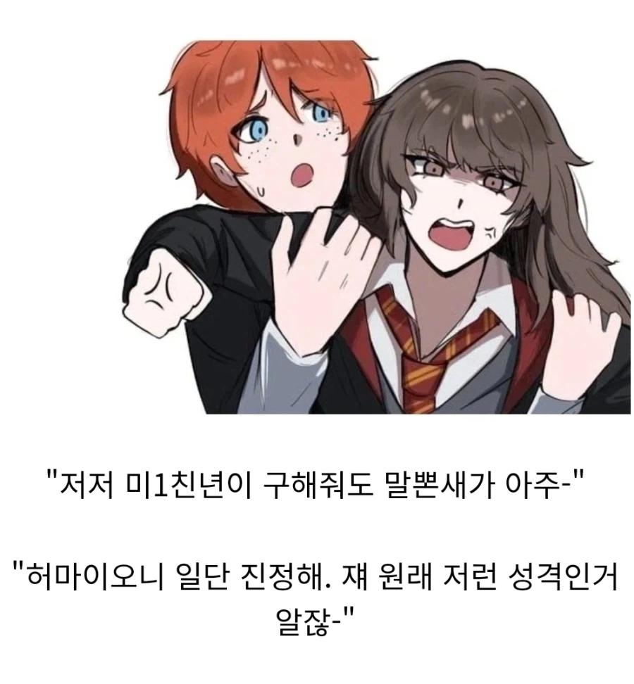 해리포터)