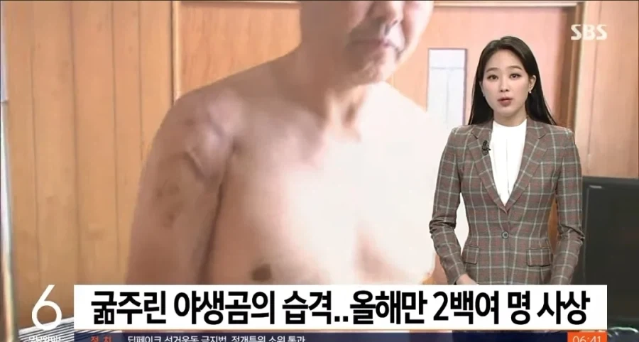 우궹이 문화 되살리자고 곰풀어놓자는 놈은 ㅁㅊㅅㄲ 맞음_1.webp
