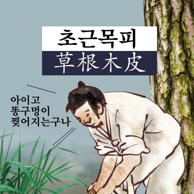 우궹이 문화 되살리자고 곰풀어놓자는 놈은 ㅁㅊㅅㄲ 맞음_3.webp