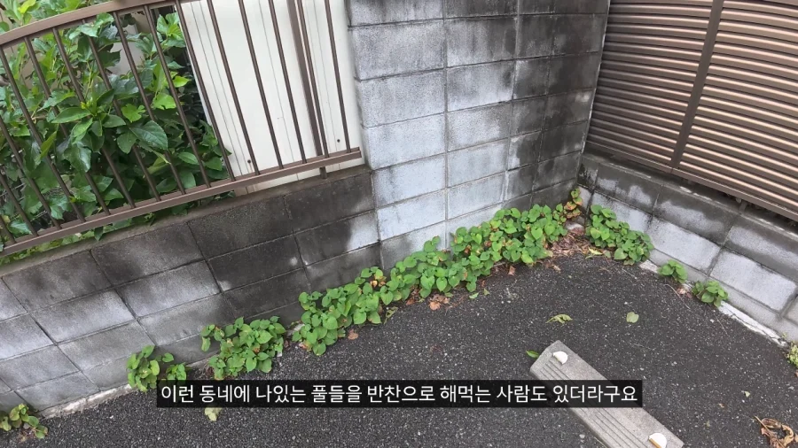 일본에서 용돈 만세 주인공처럼 하루 지내보기.JPG_10.webp