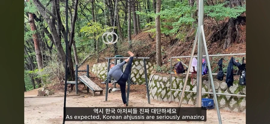 흔한 한국의 산스장 풍경_8.webp