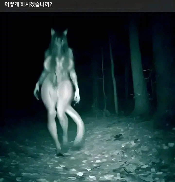 밤에 숲에서 산책 중에 이런 걸 만나면_1.webp