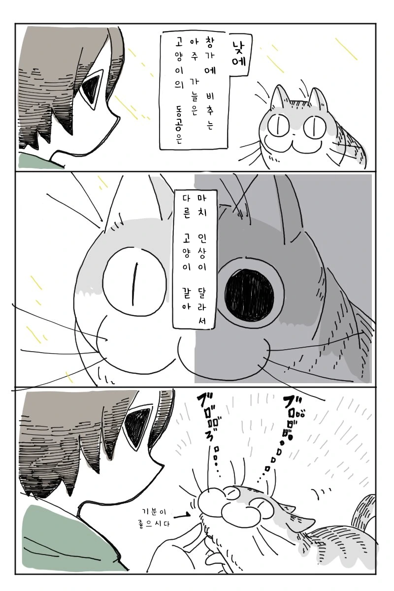 manga_897869_002.webp