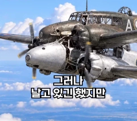 1940년 호주에서 일어난 비행기 두대가 합체한 사건.jpg_22.webp