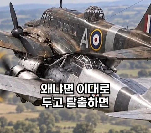 1940년 호주에서 일어난 비행기 두대가 합체한 사건.jpg_31.webp