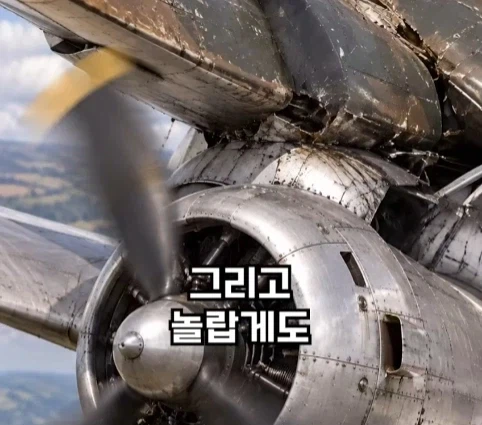 1940년 호주에서 일어난 비행기 두대가 합체한 사건.jpg_34.webp