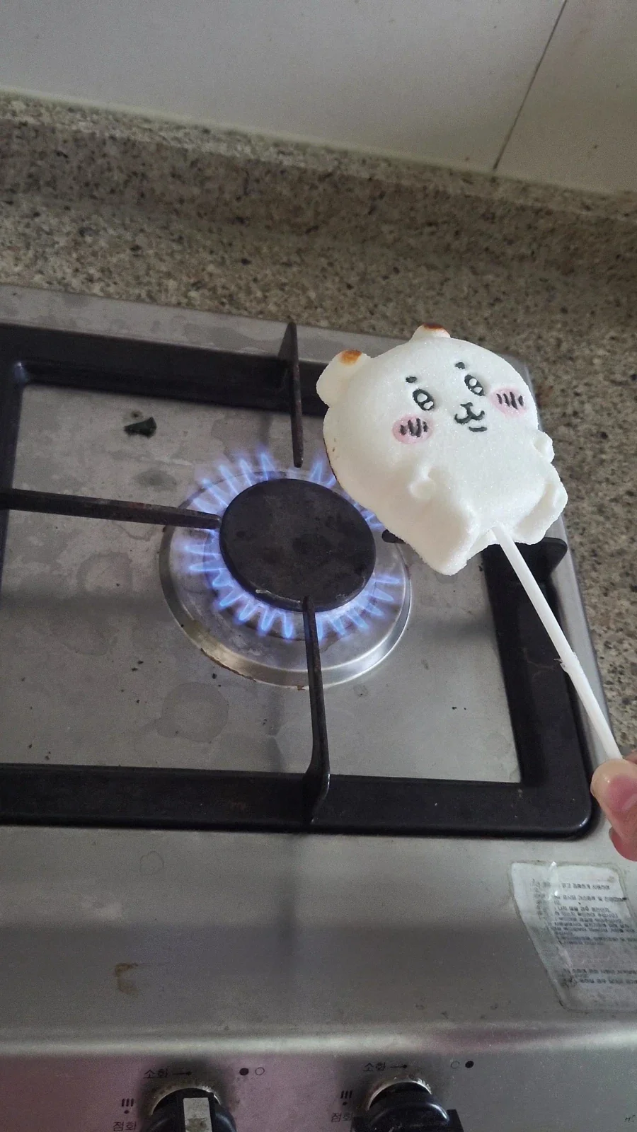 치이카와 마쉬멜로 구워먹기_2.webp