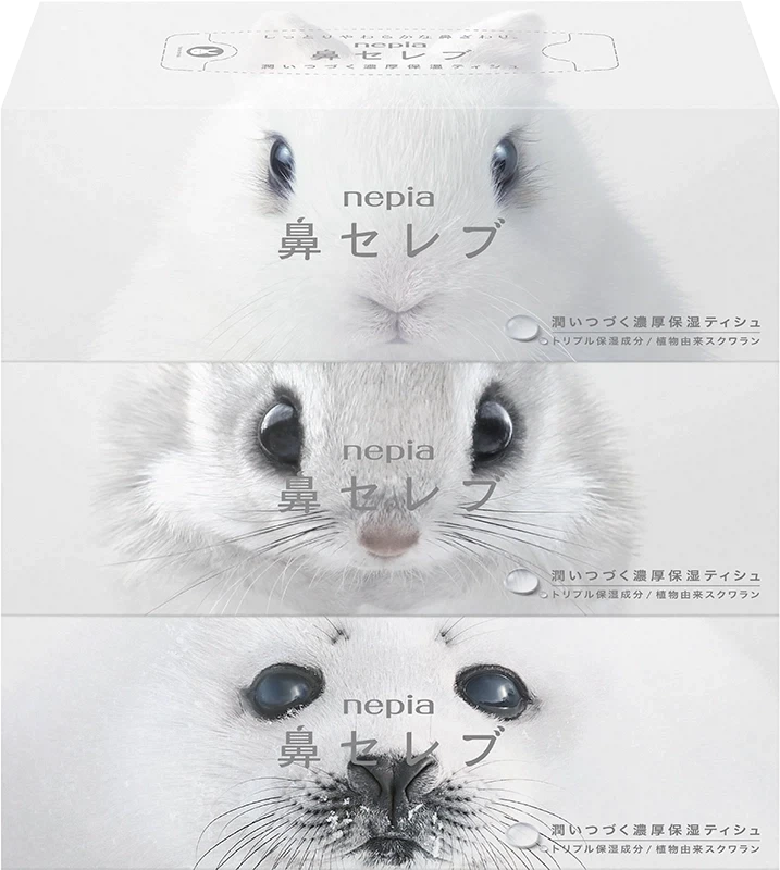 일본의 평범한 상자휴지_2.webp