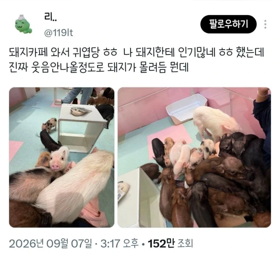 돼지카페의 인기인ㄷㄷㄷㄷㄷㄷ_1.webp