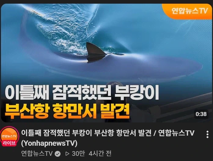 뭐야 부캉이 다시 나타났네_1.webp