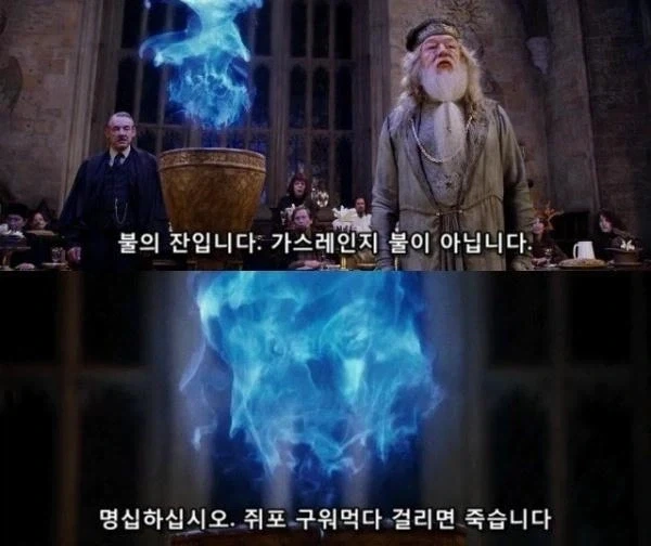 해리포터) 불의잔입니다._1.webp