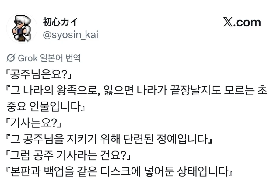 공주기사란 무엇인가.jpg_1.webp