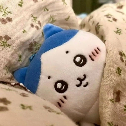 하치와레 너무 귀여운거 같아_1.webp