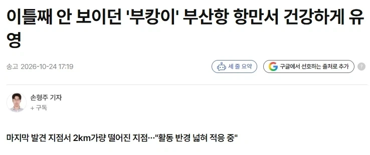 부캉이가 끝물은 맞긴 함_1.webp