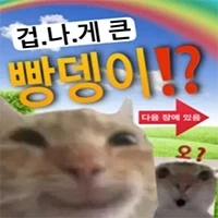 남성용 프릴 판매중_3.webp