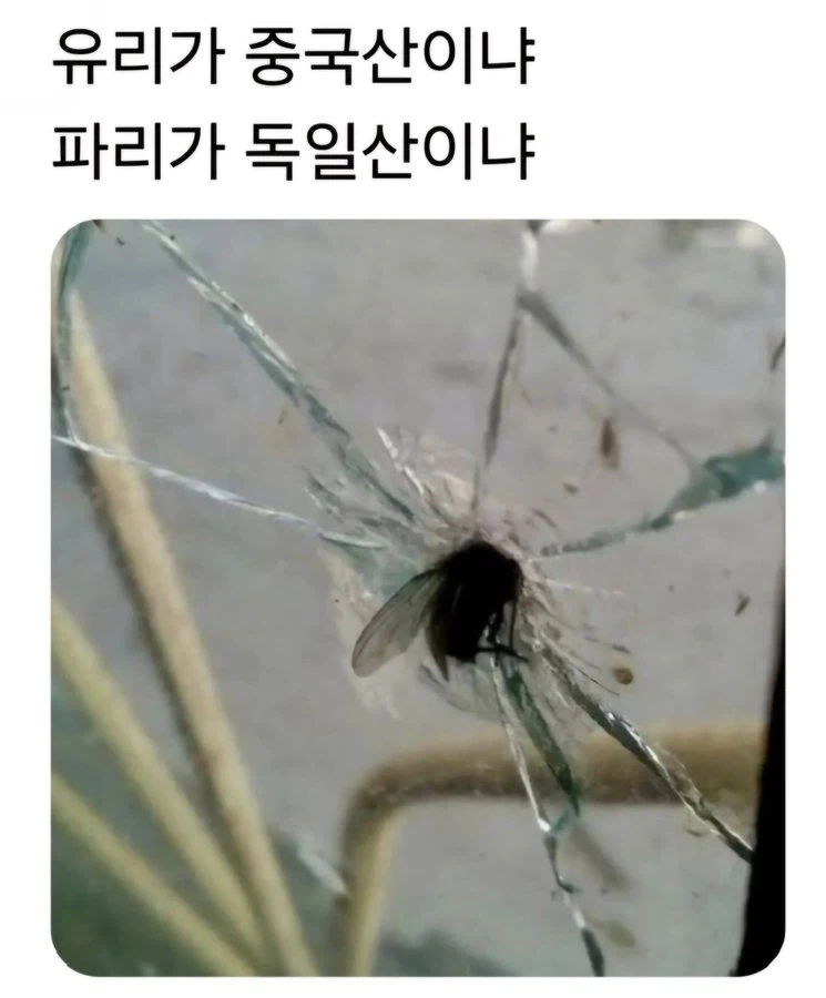 파리 무시하면 안돼는 이유_1.webp