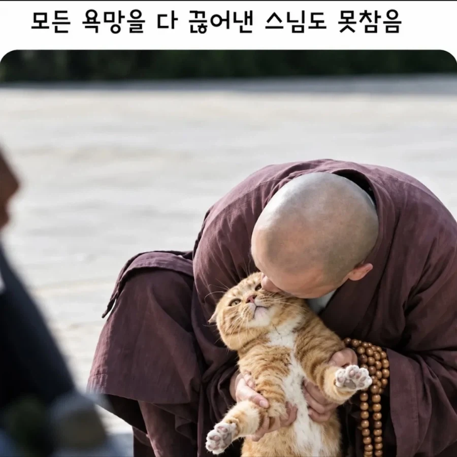 스님도 못참는거_1.webp