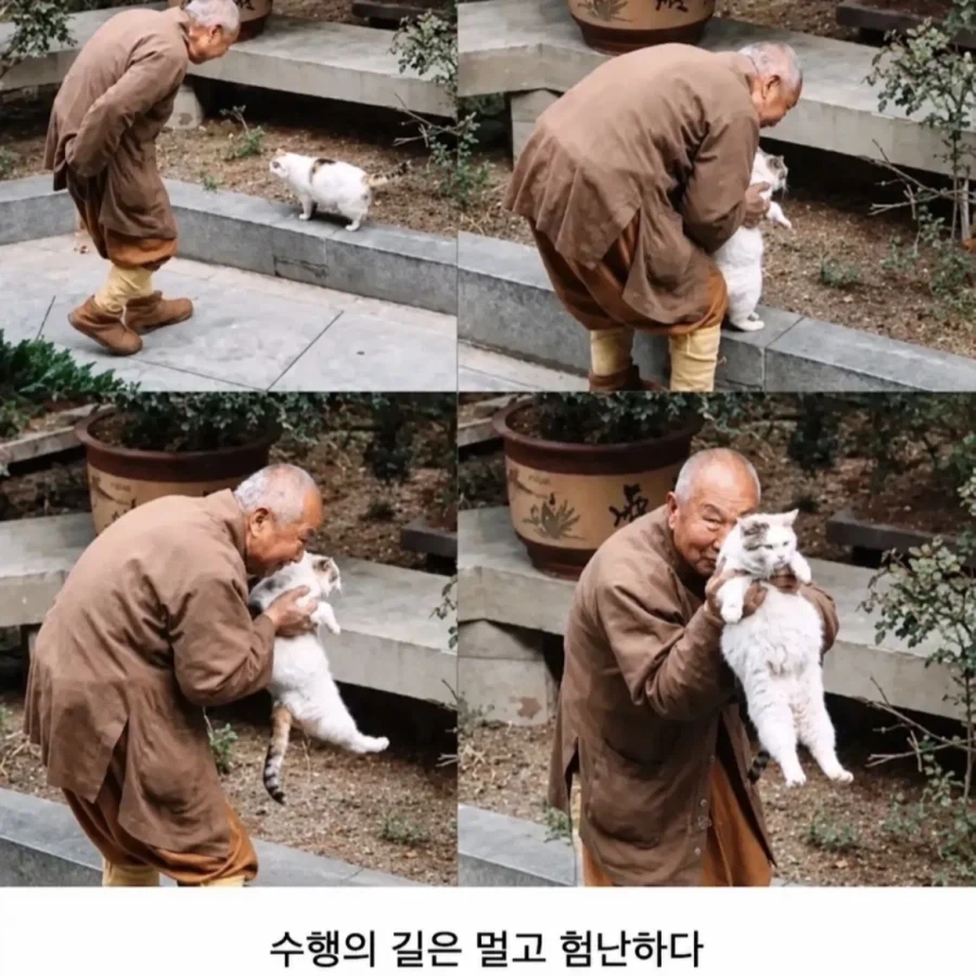스님도 못참는거_2.webp