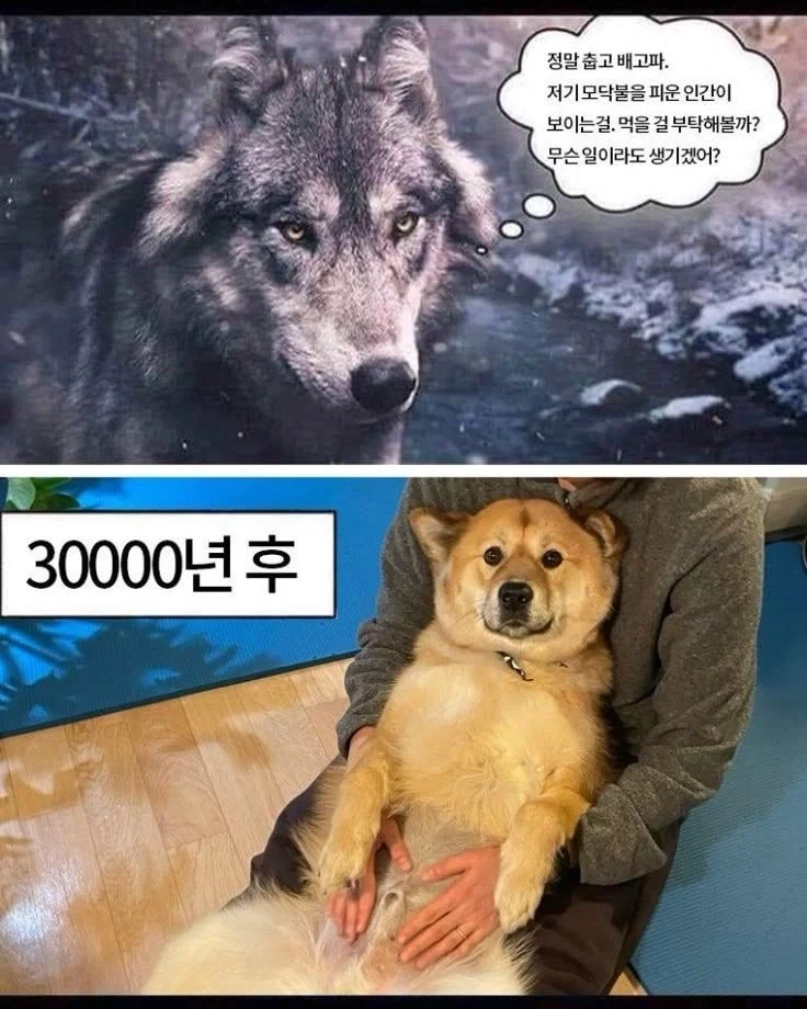 3만년의 결과_1.webp