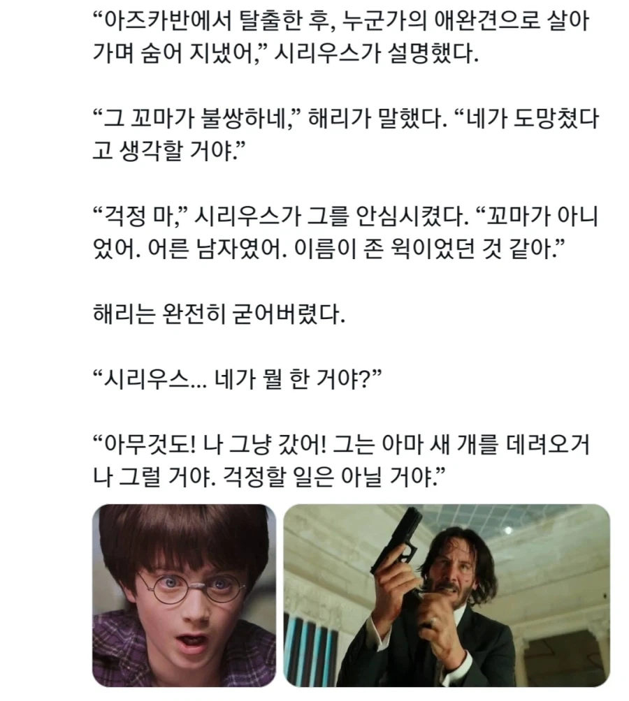 해리포터) 시리우스? 아즈카반을 탈출해서 그동안 어떻게 지낸거야?_1.webp