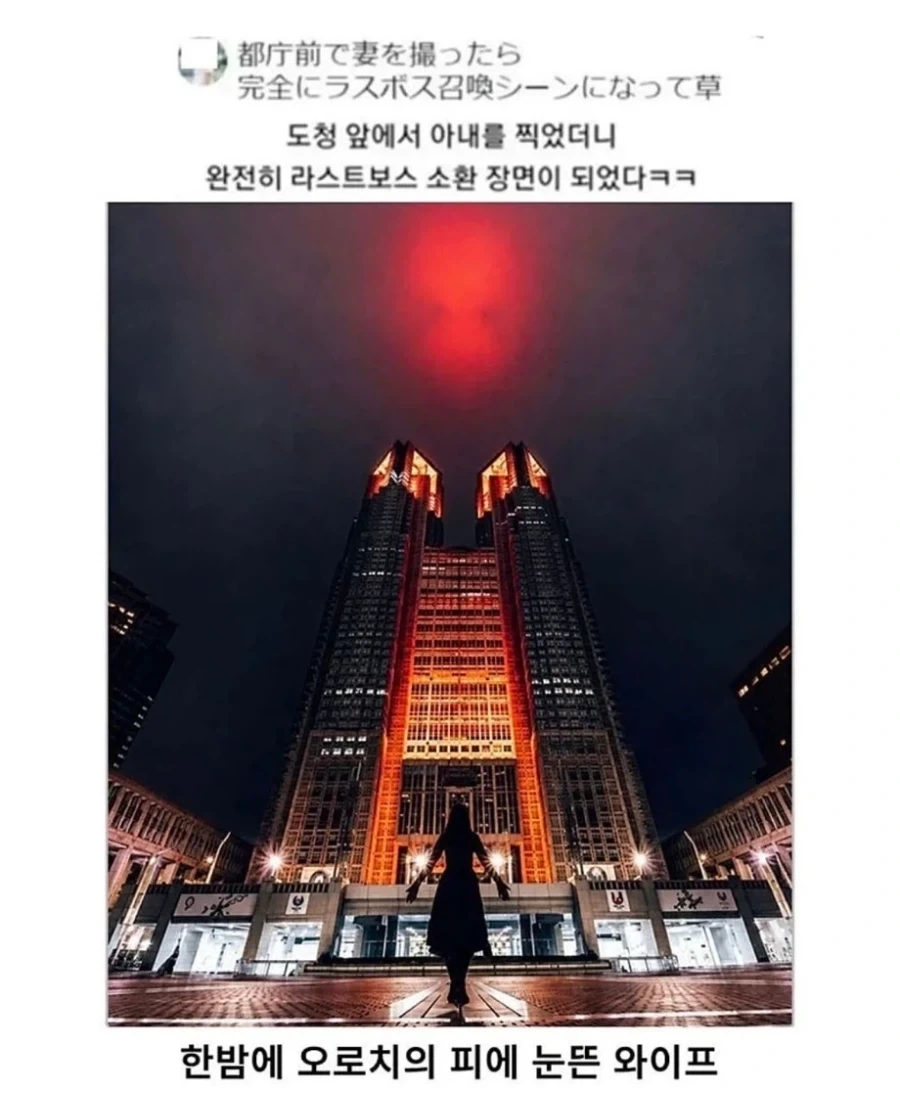 아내를 찍었는데 최종보스처럼 나왔다.jpg_1.webp