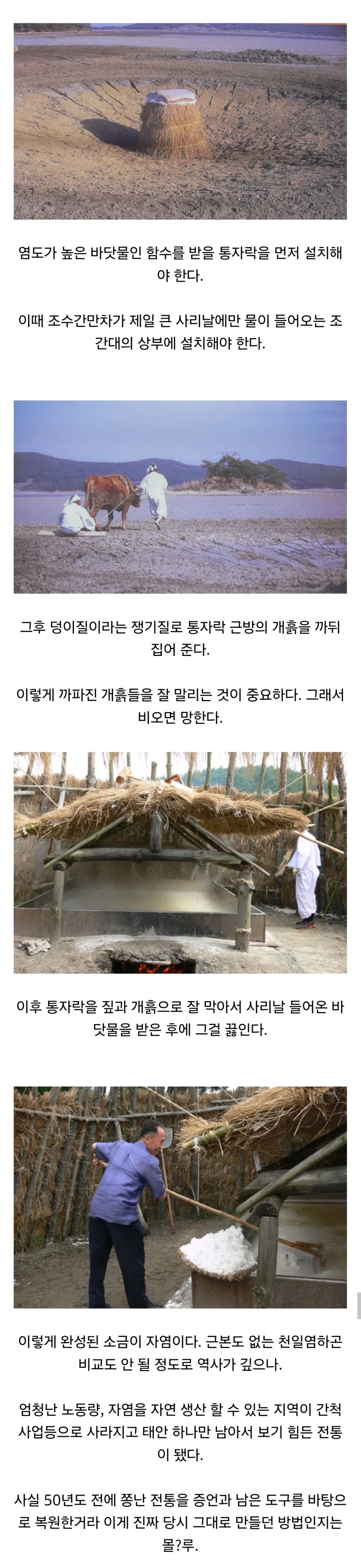 천일염같은 사기가 아닌 진짜 한국 전통 소금 만드는 법_1.webp