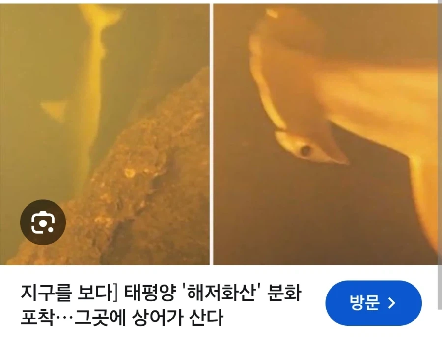 ?? : 마그마가 뭐 어쨌다는거냐?_2.webp