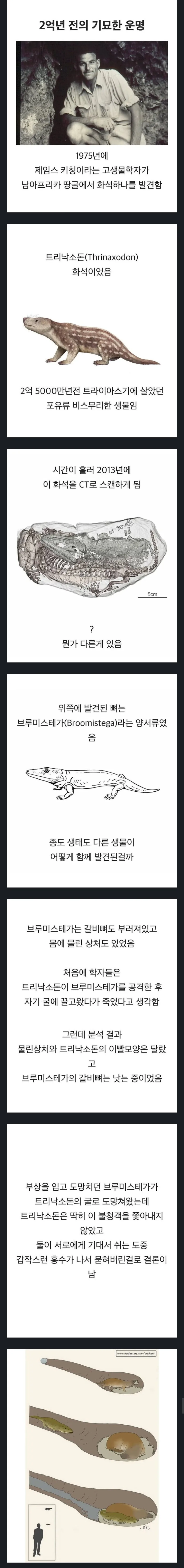 2억년을 함께한 운명.jpg_1.jpg