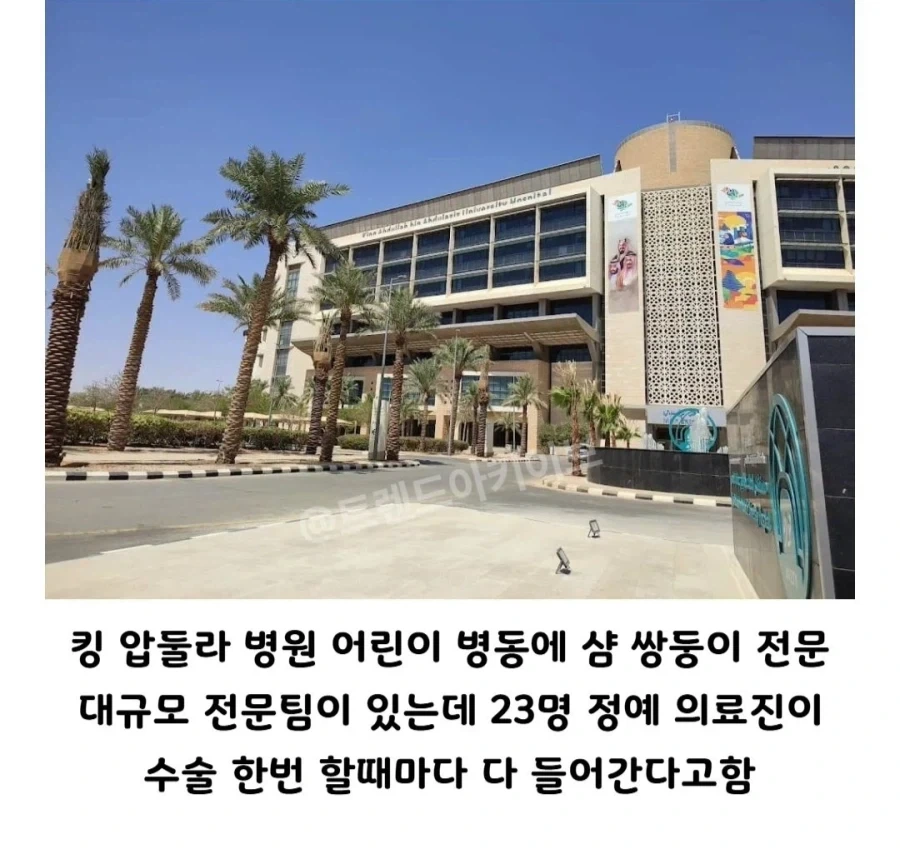 사우디 아라비아가 전세계에서 제일 잘한다는 수술_2.webp